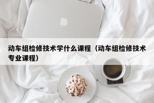 动车组检修技术学什么课程（动车组检修技术专业课程）