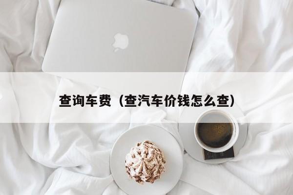 查询车费（查汽车价钱怎么查）