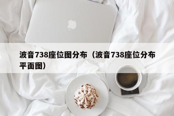 波音738座位图分布（波音738座位分布平面图）