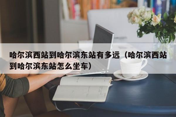 哈尔滨西站到哈尔滨东站有多远（哈尔滨西站到哈尔滨东站怎么坐车）