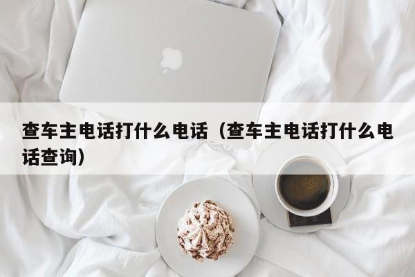 查车主电话打什么电话（查车主电话打什么电话查询）