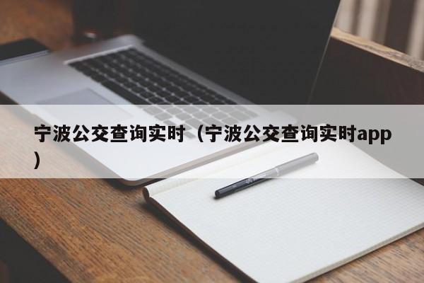 宁波公交查询实时（宁波公交查询实时app）