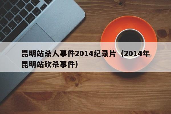 昆明站杀人事件2014纪录片（2014年昆明站砍杀事件）