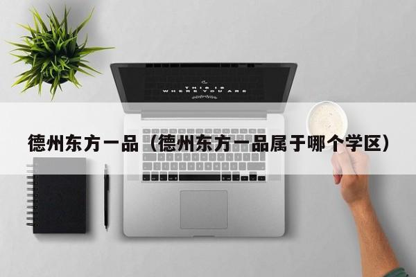 德州东方一品（德州东方一品属于哪个学区）