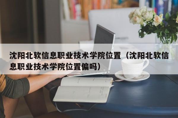 沈阳北软信息职业技术学院位置（沈阳北软信息职业技术学院位置偏吗）